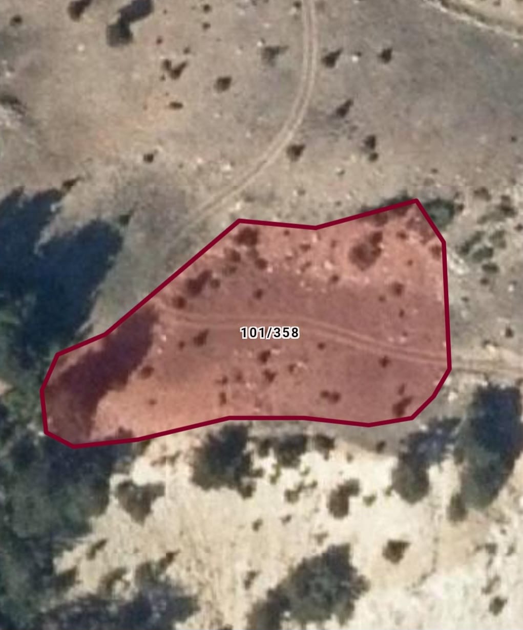Fotoğraf